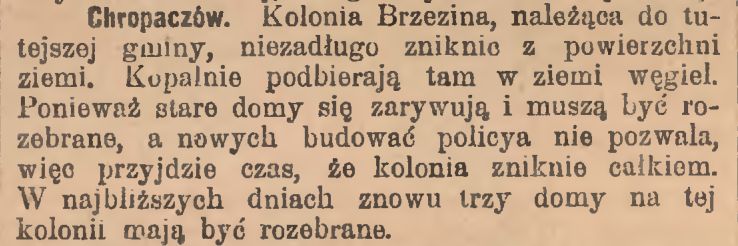 1904 Brzezina.jpg