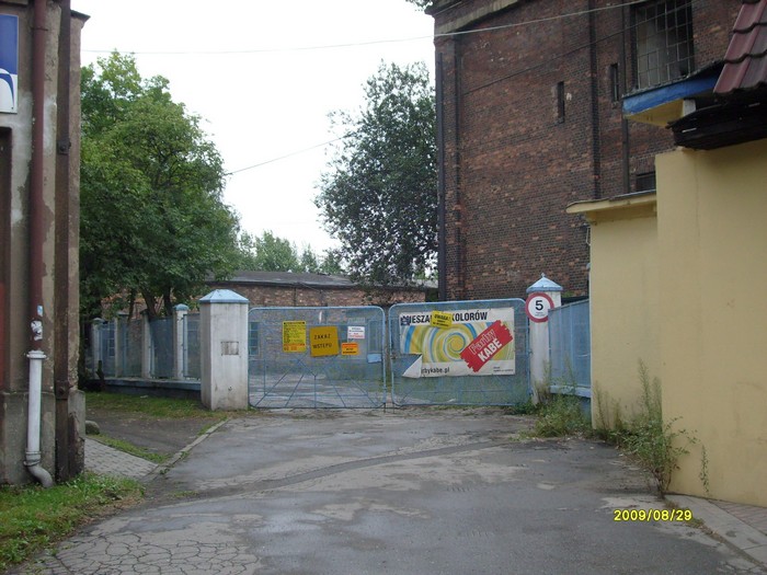 5.JPG