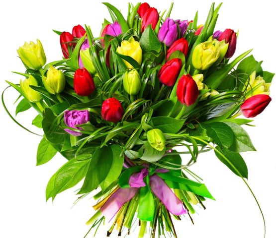 tulipany1.jpg