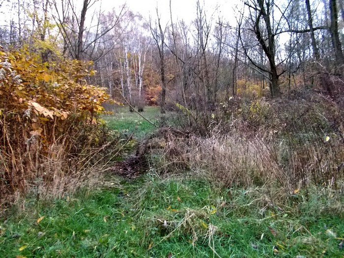 DSCN2057.JPG
